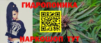 шишки Ирбит