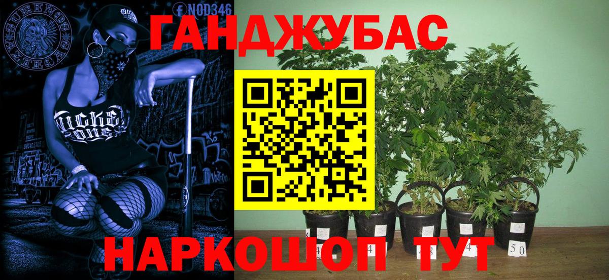 Конопля конопля  Каннабис план  Шишки марихуана THC 21%  Канабис AK-47  Вход с VPN  Малоярославец 